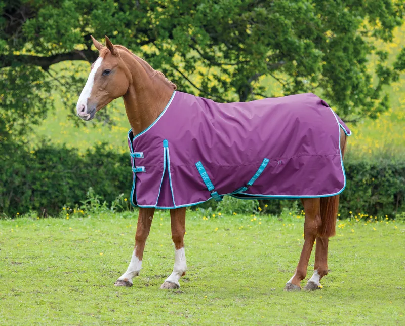 Medium weight turnout rug deals